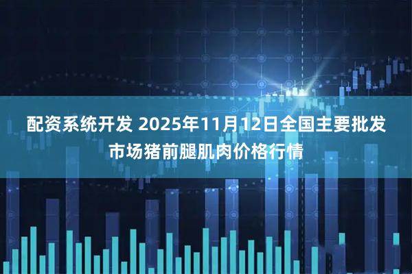 配资系统开发 2025年11月12日全国主要批发市场猪前腿肌肉价格行情