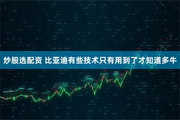 炒股选配资 比亚迪有些技术只有用到了才知道多牛