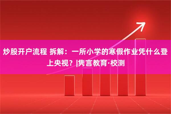 炒股开户流程 拆解：一所小学的寒假作业凭什么登上央视？|隽言教育·校测